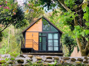 p.p. hill & house